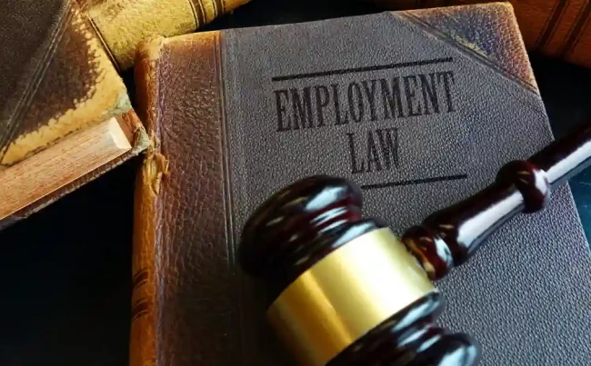 Employment Lawyer