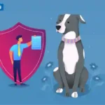 Dog Insurance