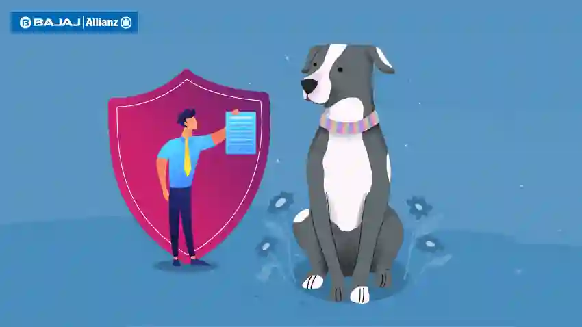 Dog Insurance