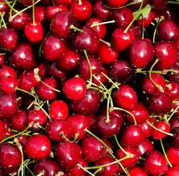 Cherries