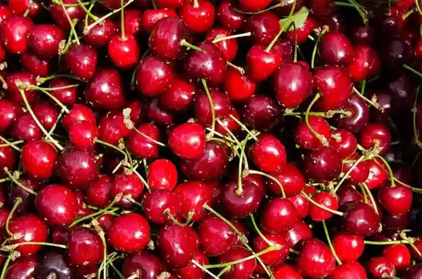 Cherries