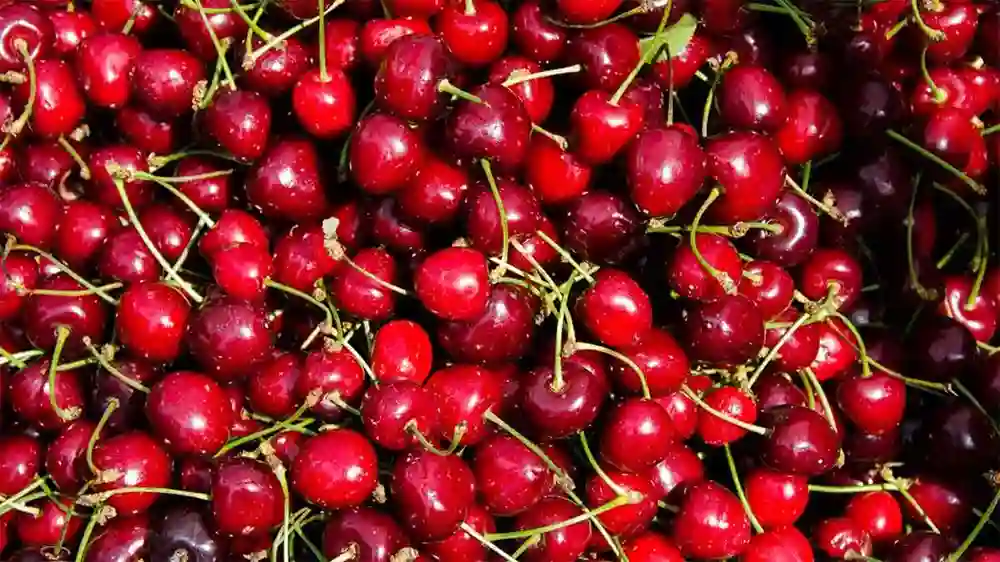 Cherries